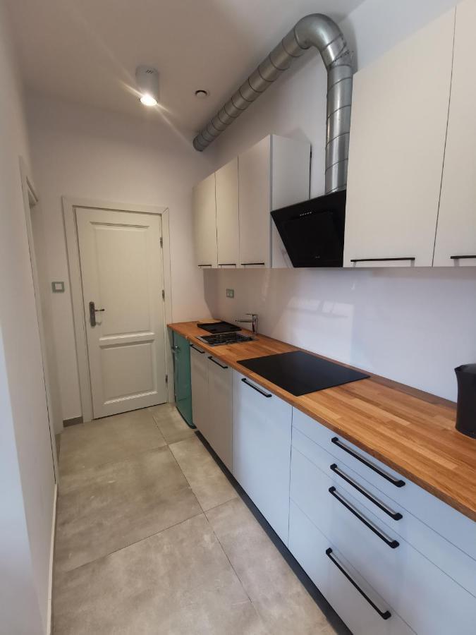 Nowe Apartamenty Zamkowa Vis A Vis Wawelu 克拉科夫 外观 照片