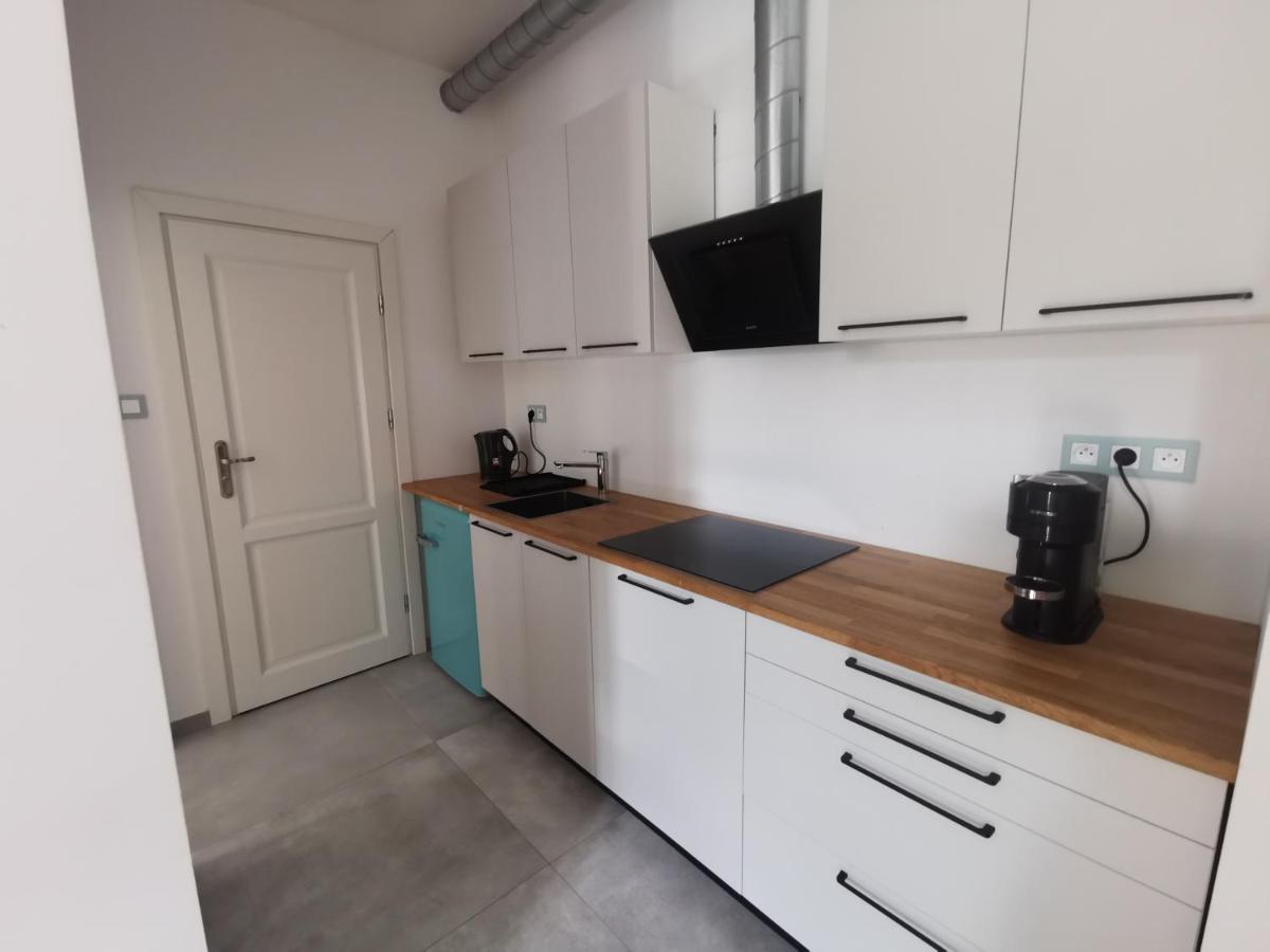 Nowe Apartamenty Zamkowa Vis A Vis Wawelu 克拉科夫 外观 照片
